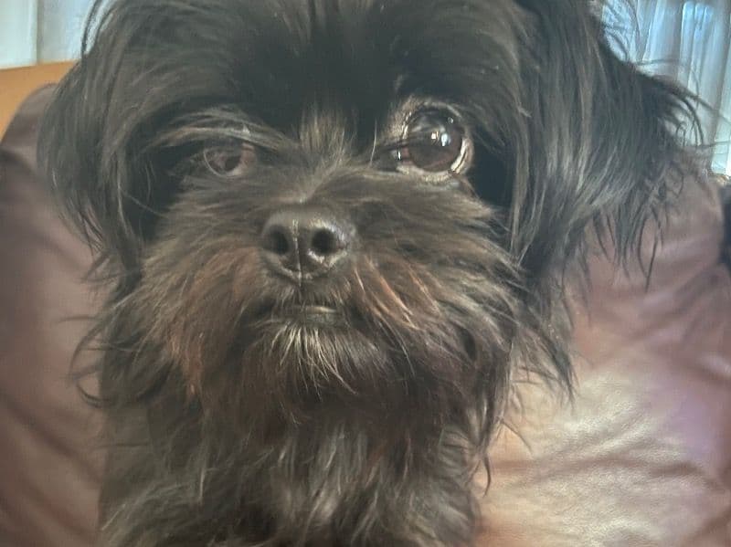 Rosie primary photo