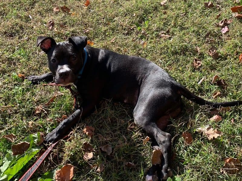 Zeus primary photo
