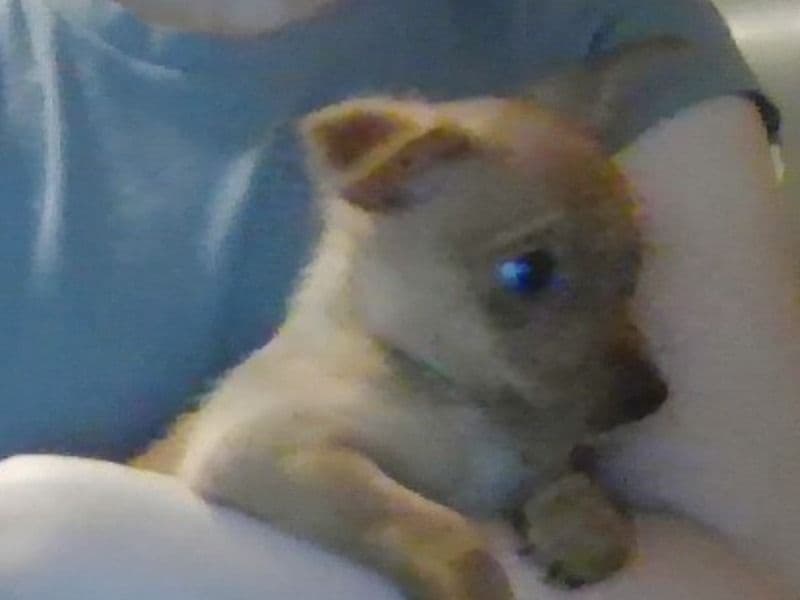 Amy primary photo