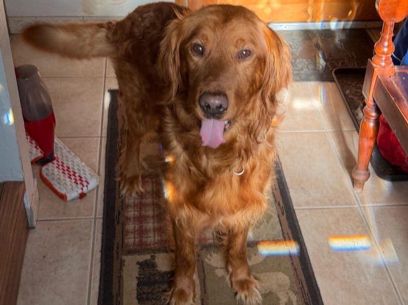 Max primary photo