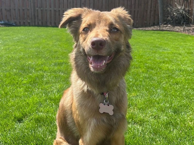 Cleo primary photo