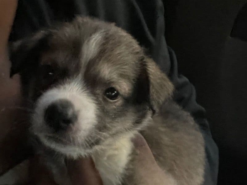 Tiny primary photo
