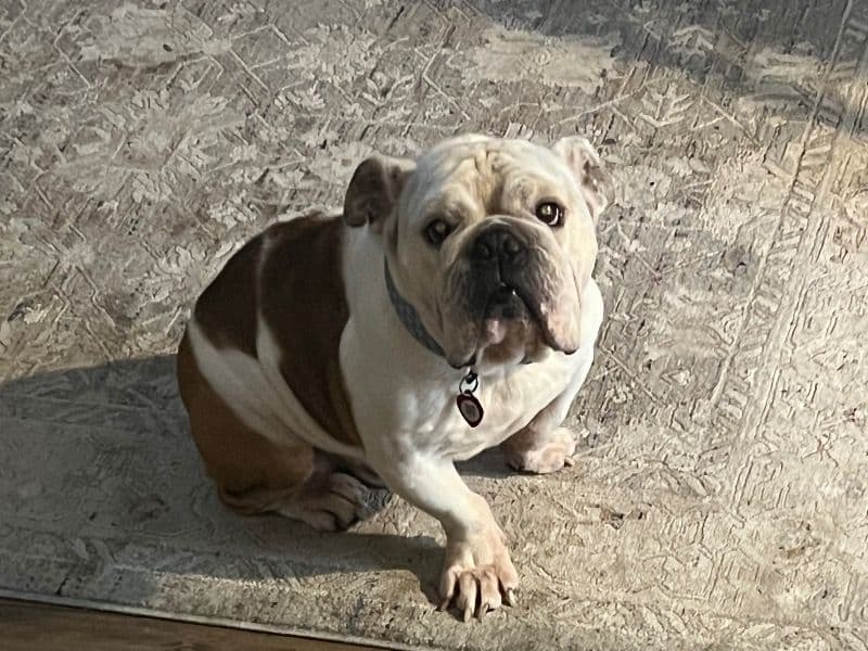 Otis primary photo