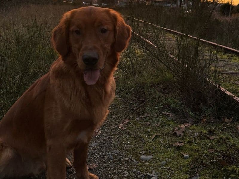 Max primary photo