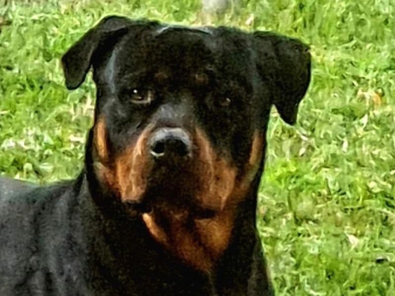 Zeus primary photo