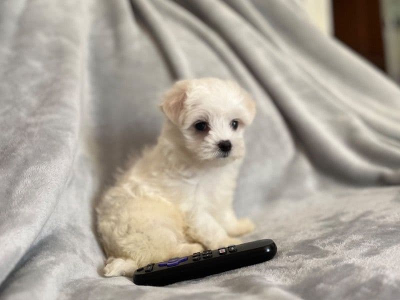Baby primary photo