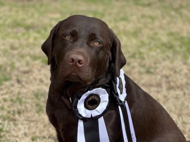 Zeus primary photo