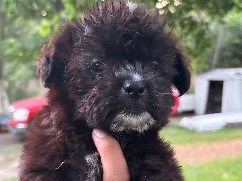 Doesn't Have A Name Yet primary photo