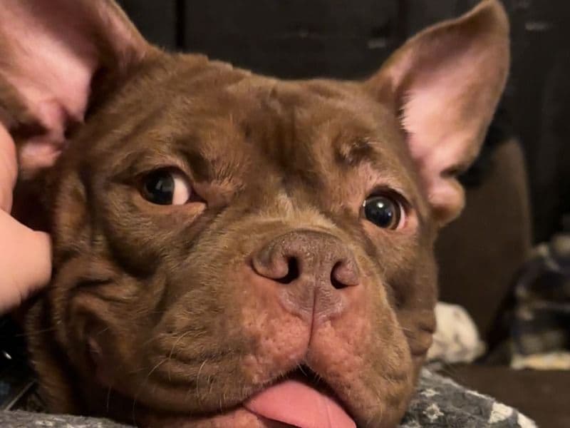 Coco primary photo