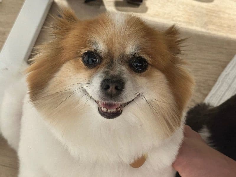 Mimi primary photo