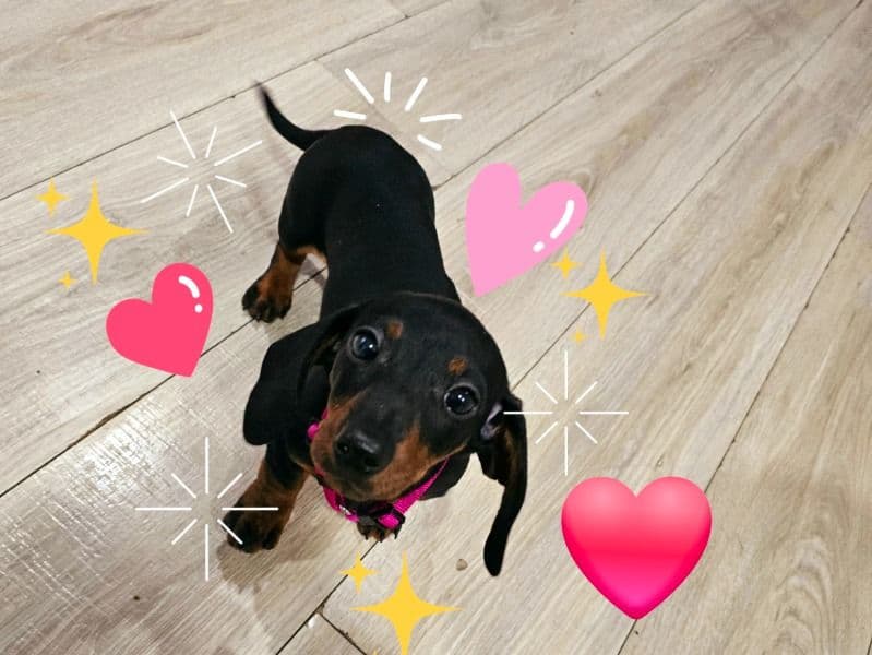 Winnie primary photo