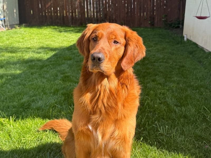 Charlie primary photo