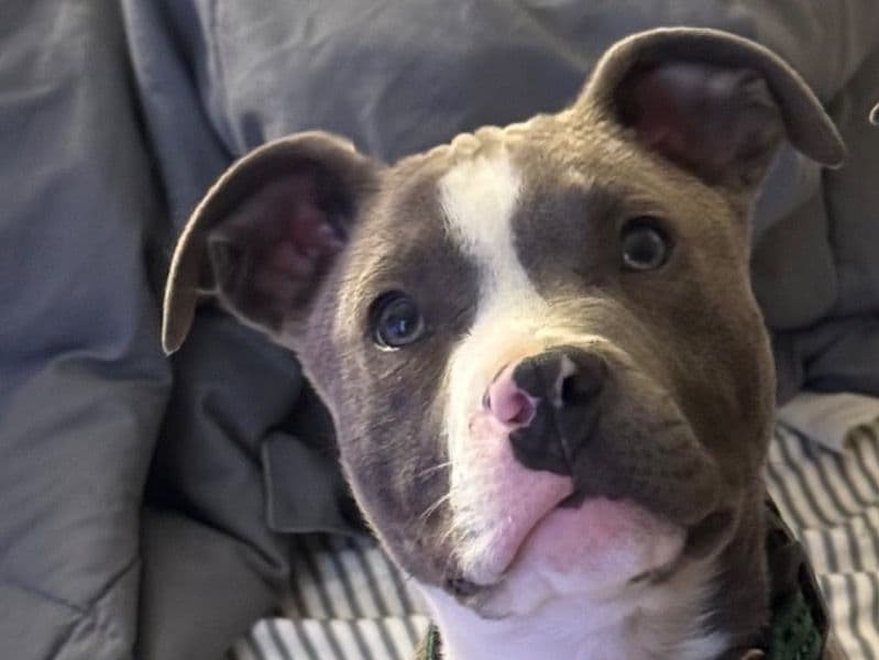 Zeus primary photo