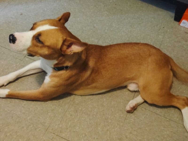 Zeus primary photo