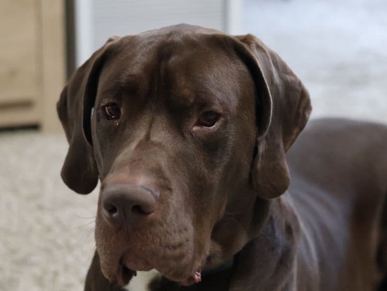 Zeus primary photo