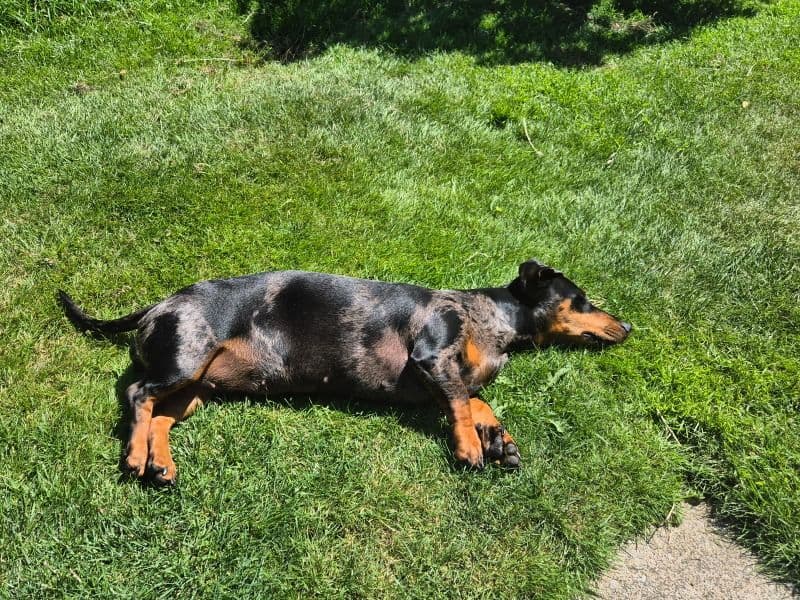 Winnie primary photo