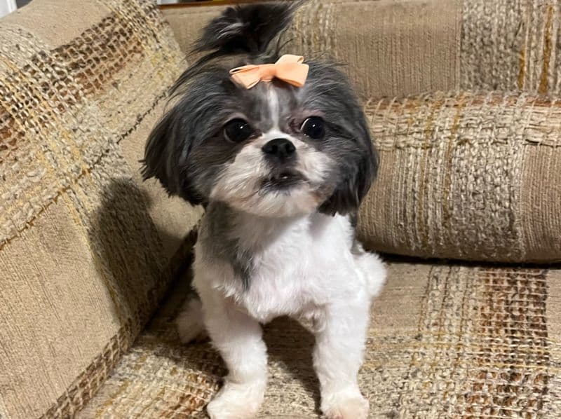 Babygirl primary photo
