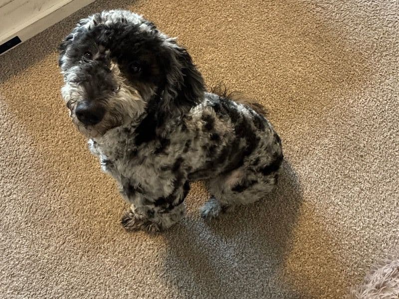 Winnie primary photo