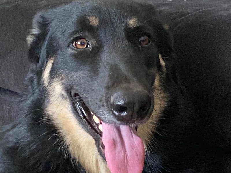 Kona primary photo