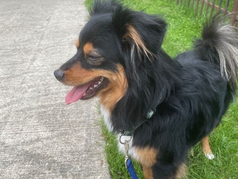 Max primary photo