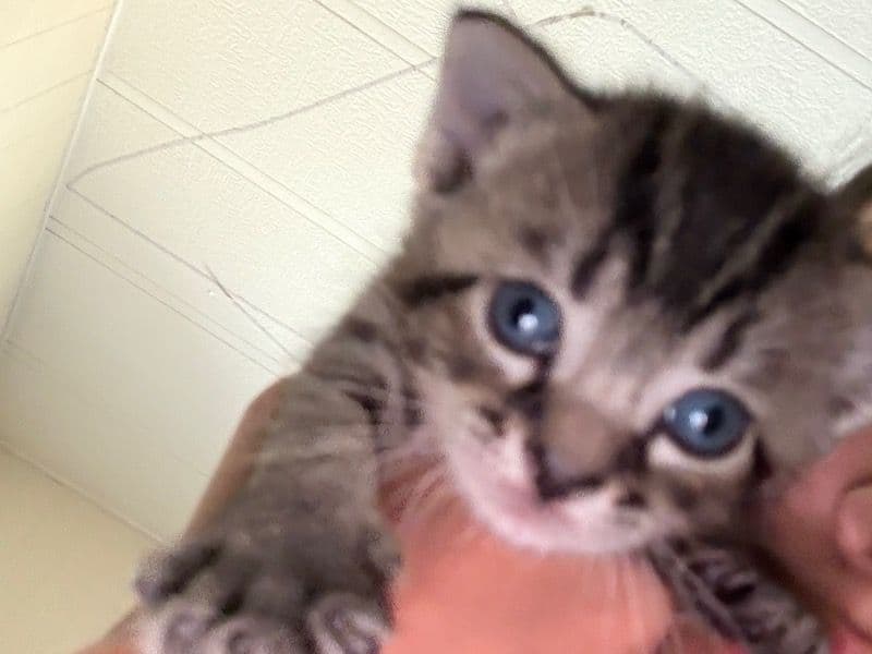 Doesn’t Have A Name Yet primary photo