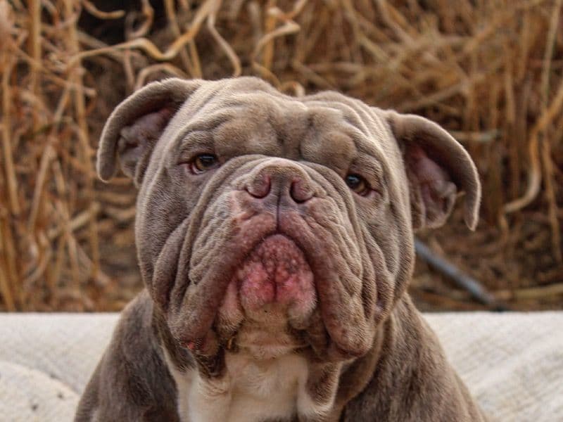 Zeus primary photo