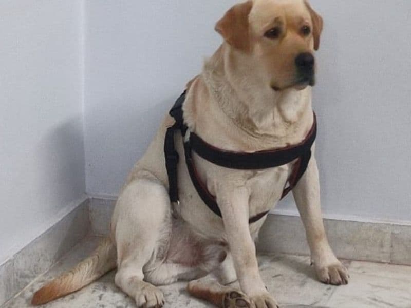 Max primary photo