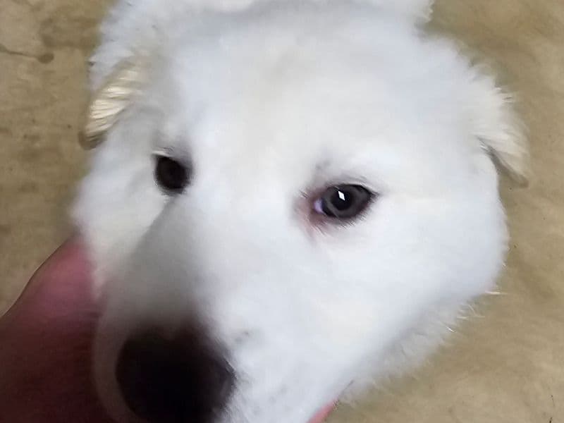 Cloud primary photo