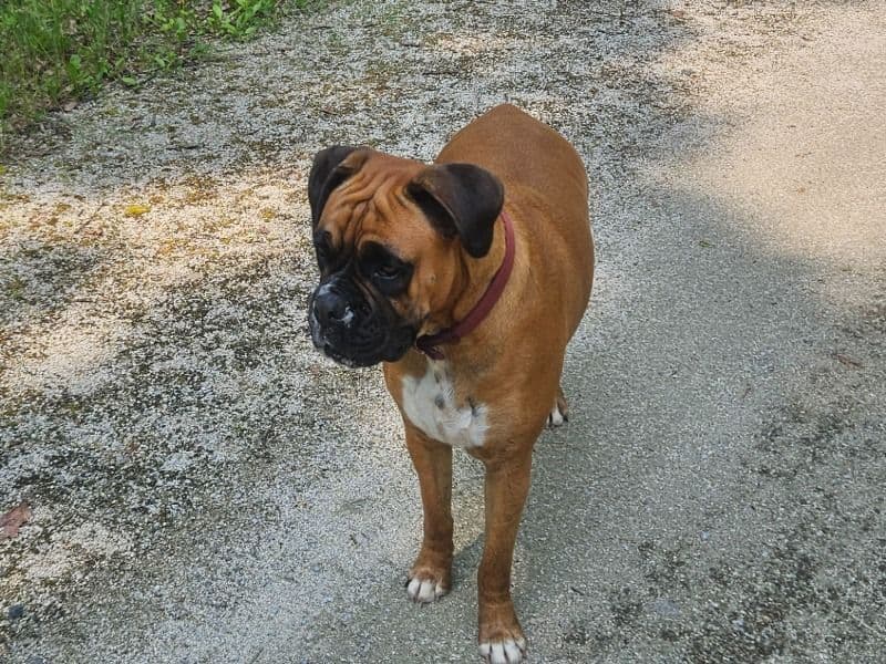 Maggie primary photo