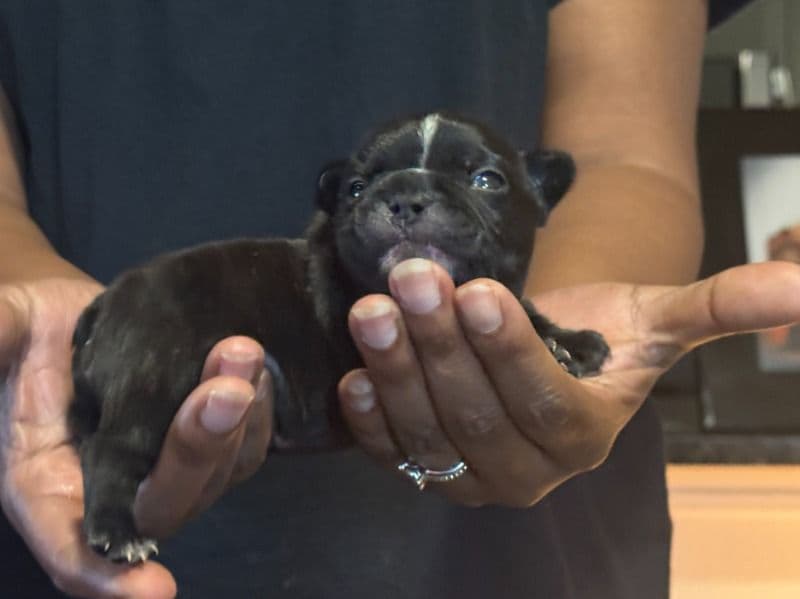 Female 4 primary photo