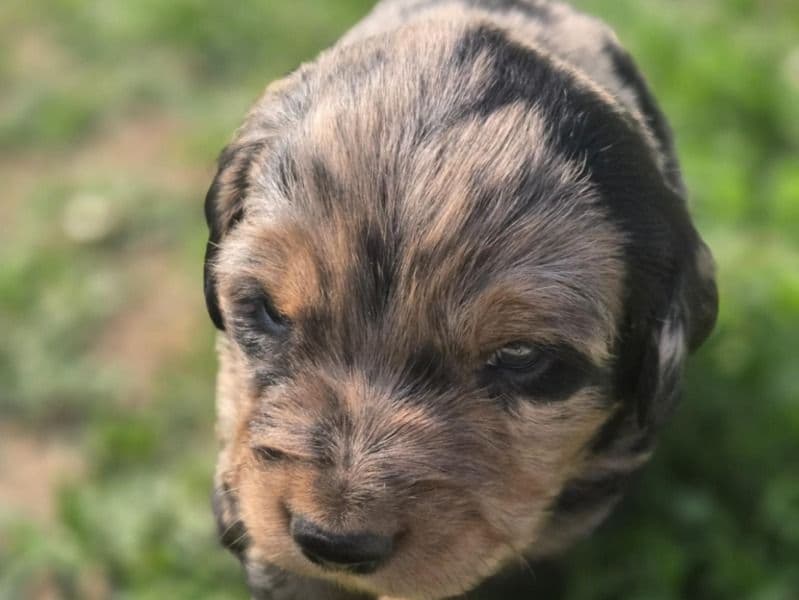 Baby primary photo