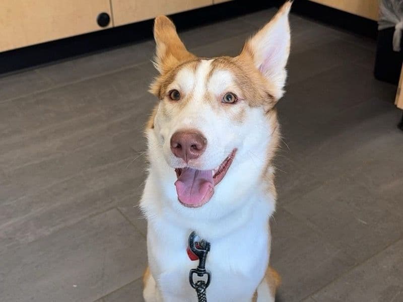 Max primary photo