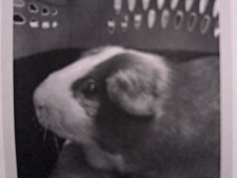 On On primary photo