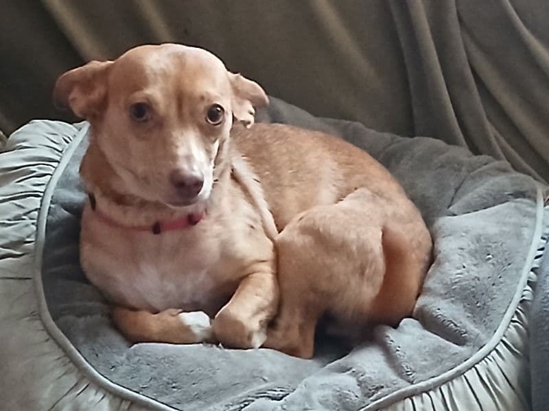Lucy primary photo