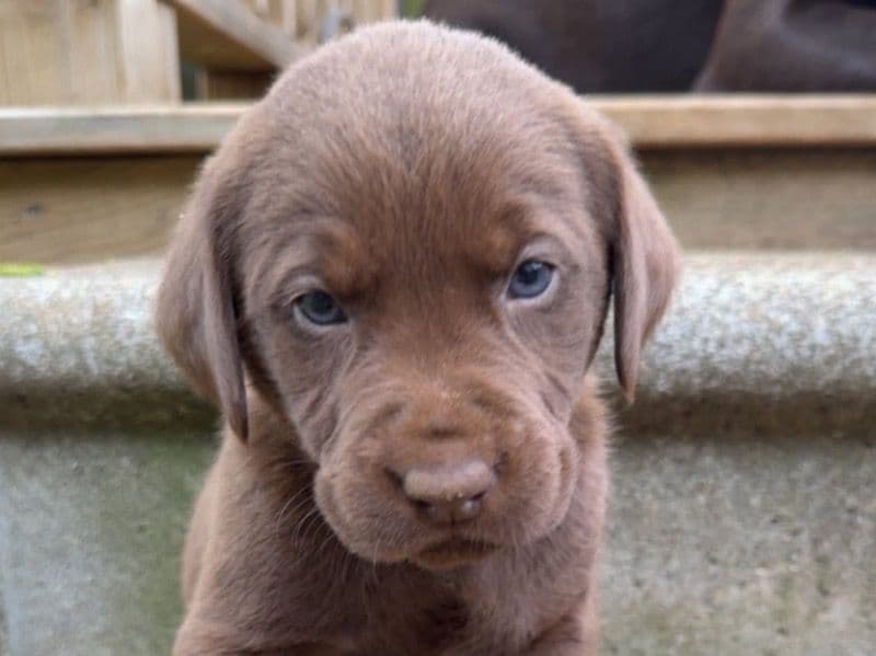 Zeus primary photo