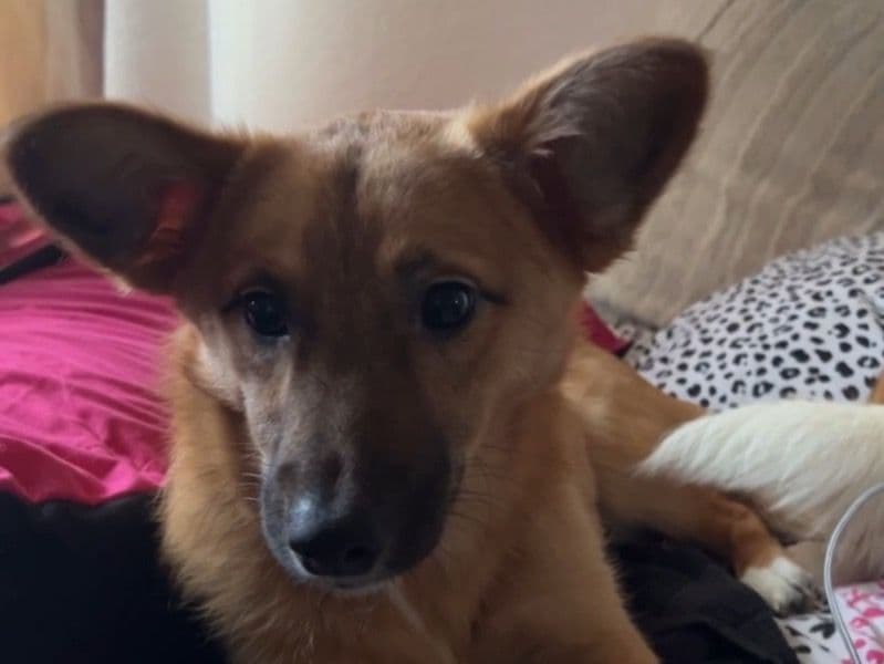 Rosie primary photo