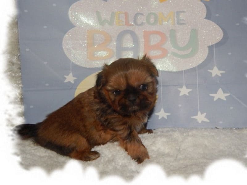 Binks primary photo