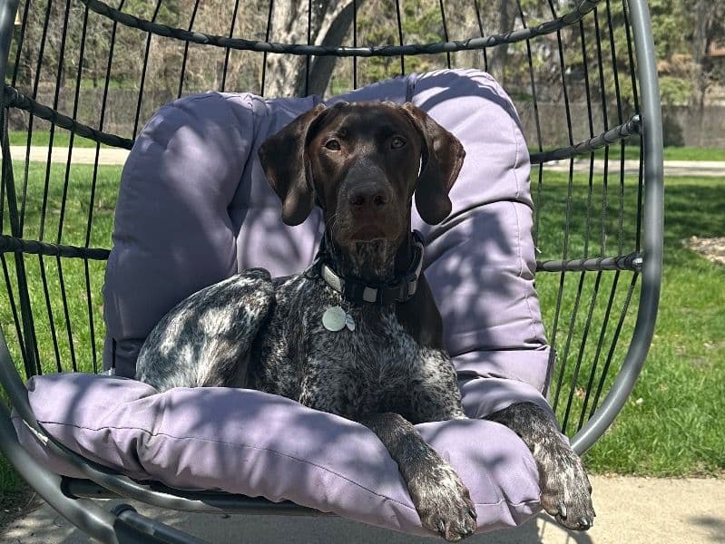 Kona primary photo