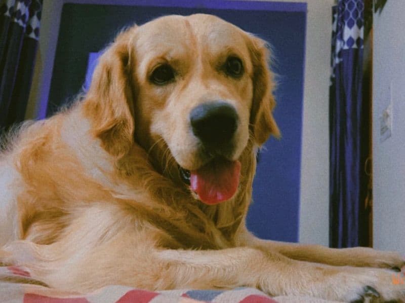 Sam primary photo