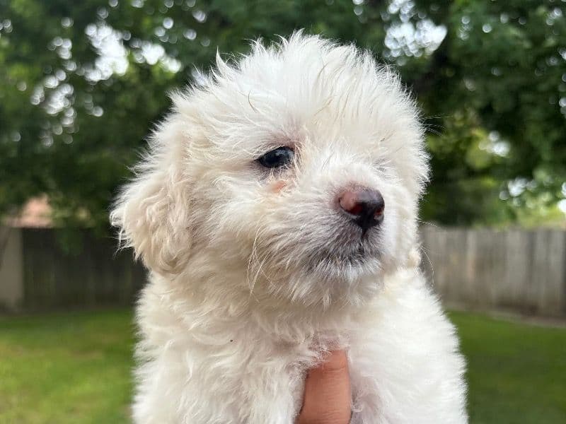 Doesn't Have A Name Yet primary photo