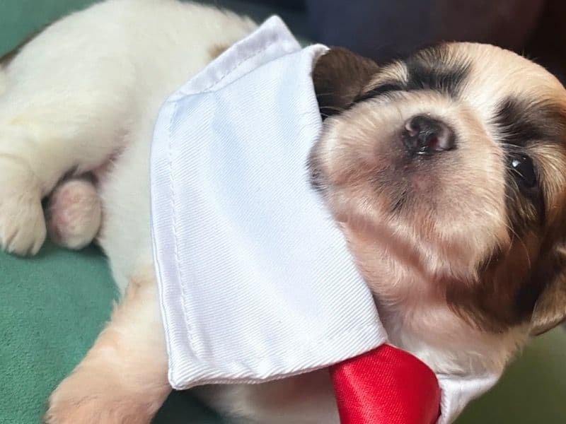 Baby primary photo