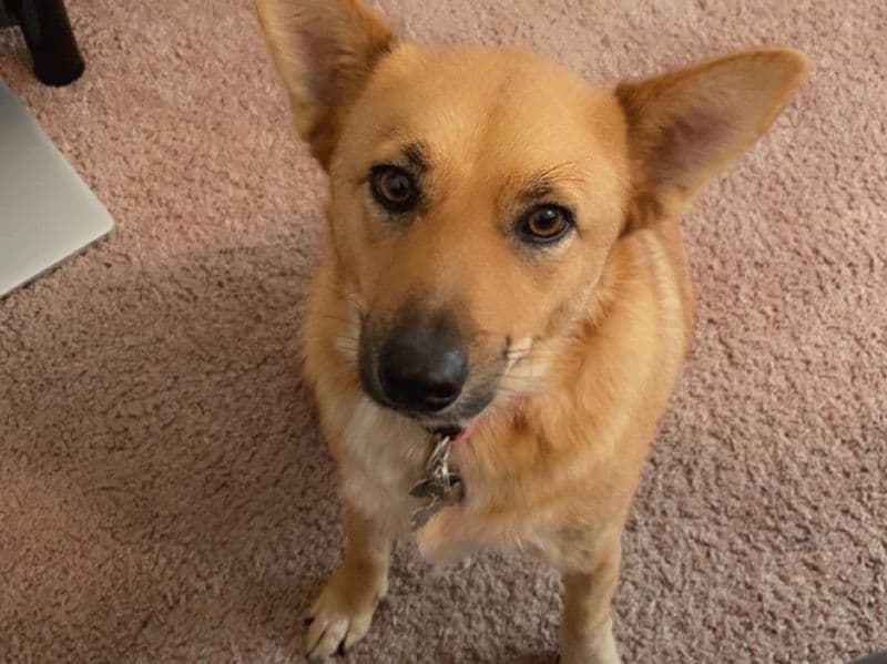 Sadie primary photo