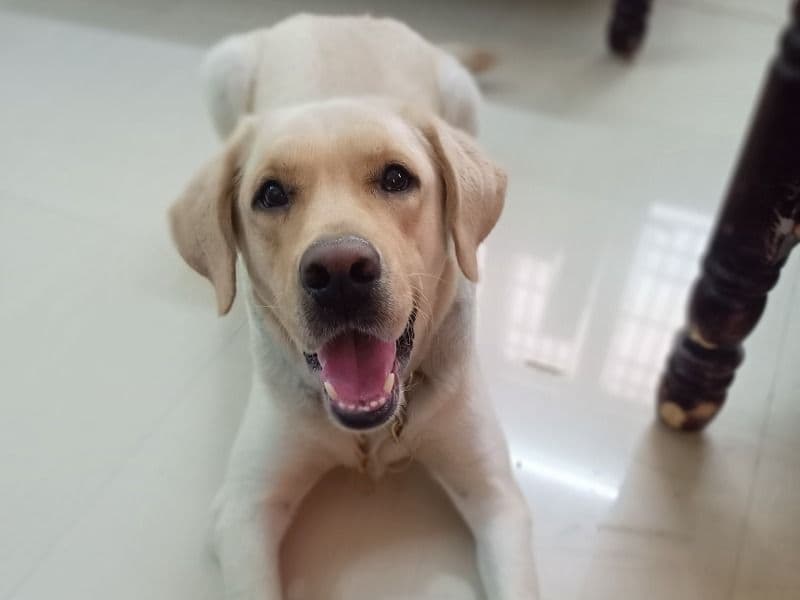 Butter primary photo