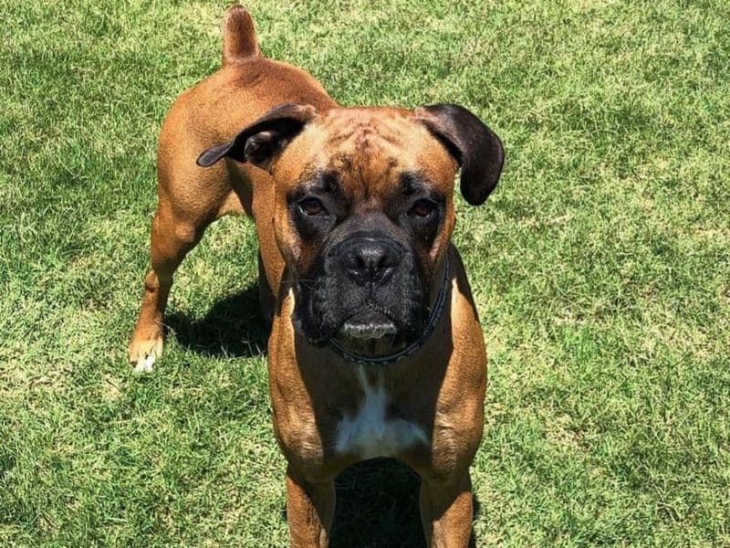 Zeus primary photo
