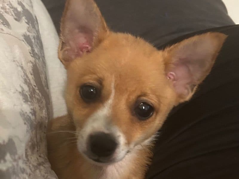 Max primary photo