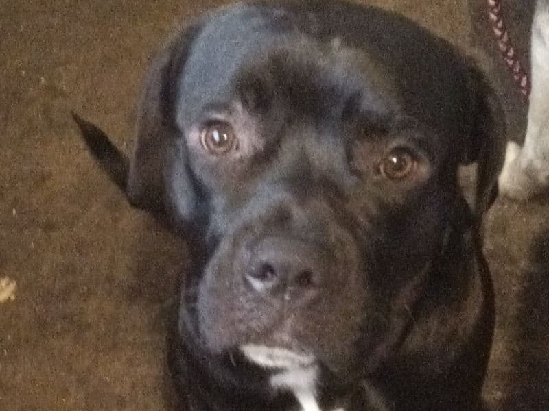 Zeus primary photo