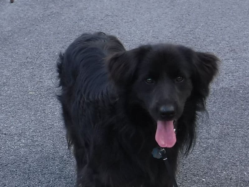 Jack primary photo