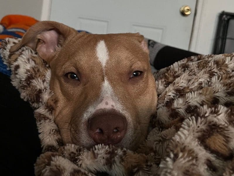Max primary photo