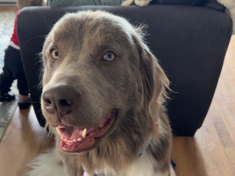 Zeus primary photo
