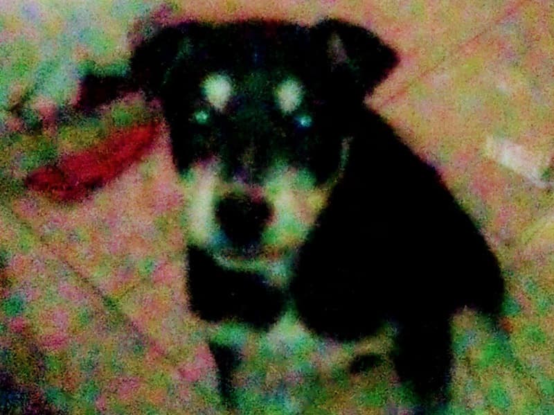 Big Boy primary photo